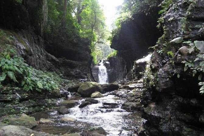 Hidden Valley Springs Resort Day Trip from Manila - Key highlights to look forward to