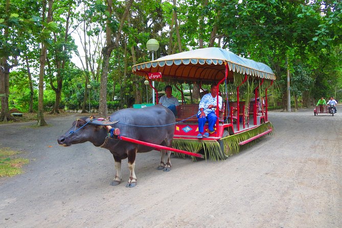 Immerse in Culture: Villa Escudero Coconut Plantation Experience - What makes the $150 price feel fair, and what you should expect included