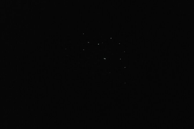 Joiners Firefly Watching Tour - What you actually get for the $60 price
