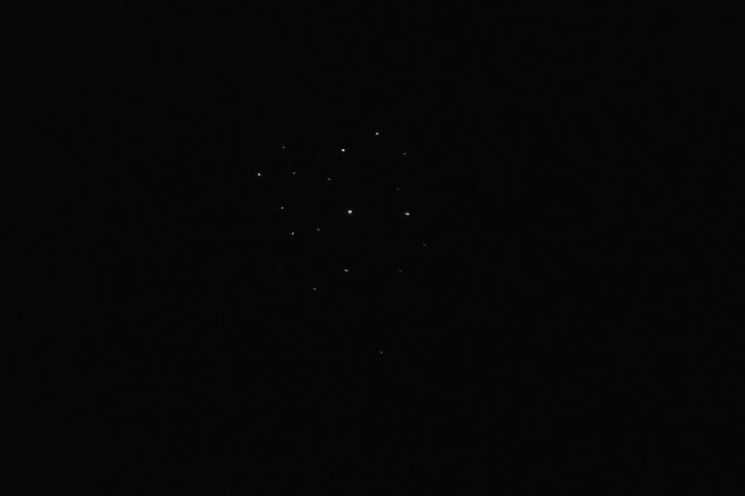 Joiners Firefly Watching Tour - Why the evening timing is the whole point