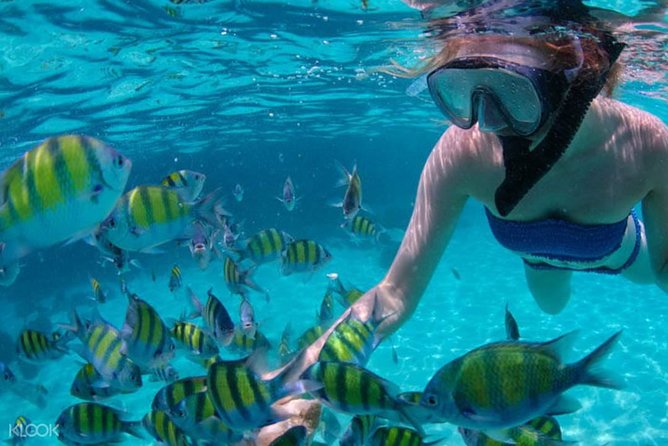 Mactan Cebu Island Hopping with Lunch - Gilutungan, Caohagan, Nalusuan - A full-day island hop that makes sense from Cebu City
