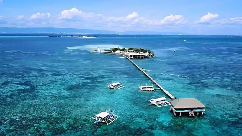 Mactan Island Hopping Gilutungan, Caohagan, Nalusuan + Lunch - Gilutungan Marine Sanctuary snorkeling: where the reef time is real