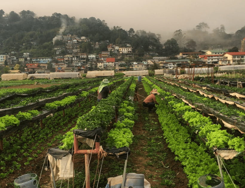 Manila: 3-Day Sagada, Baguio, & Banaue Rice Terraces Tour - Comfort on the road: vans, delays, and how to stay sane