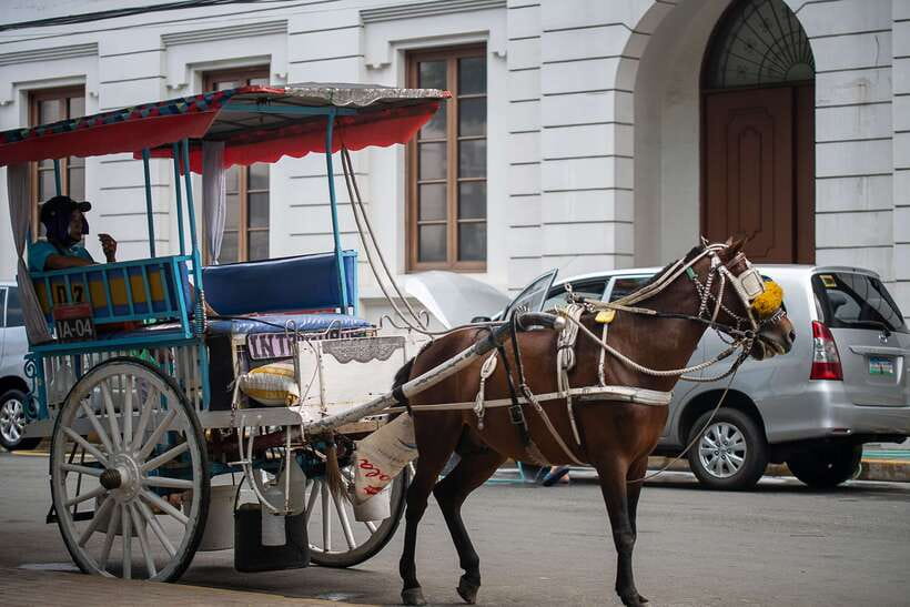 Manila: Sightseeing and Food Walking Tour with Tastings - Key things I’d circle before you go