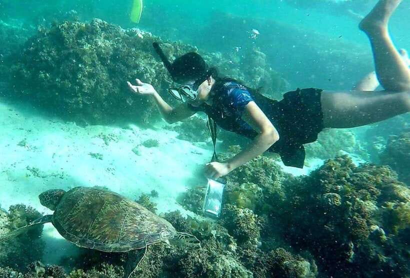 Moalboal: Pescador Island Hopping Adventure and Sardine Run - Why Pescador Island works as a one-day snorkeling trip