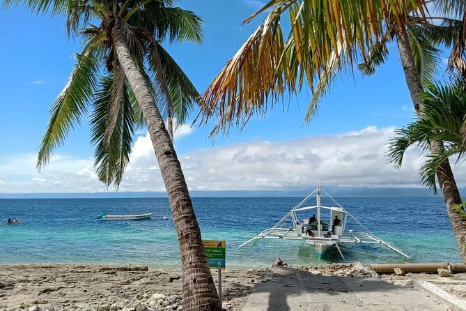 Moalboal Sardine Run, Sea Turtle and Mantayupan Falls - Price and Value: Is $99 a Fair Deal for Two Big Nature Stops?