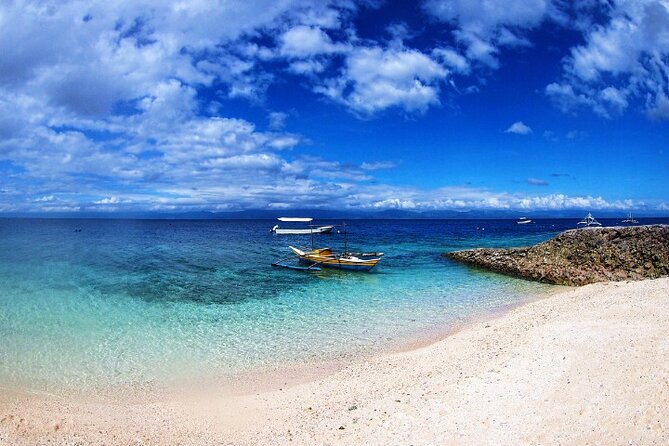 Moalboal Sardines Run Private Tour w/ Transfers Option - Guides Matter: Jonathan, Carlos, and Getting Great Footage