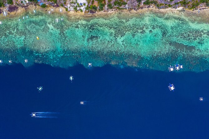 Moalboal Sardines Run Private Tour w/ Transfers Option - Timing and Wildlife Odds, Including Turtles
