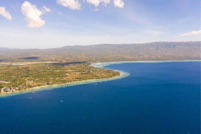 Moalboal Sardines Run Private Tour w/ Transfers Option - Price and Value in Moalboal: What $20 Buys