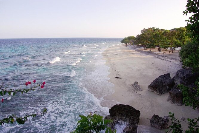 Oslob Whale Shark Private Tour with Sumilon & Tumalog Falls - Key highlights worth knowing
