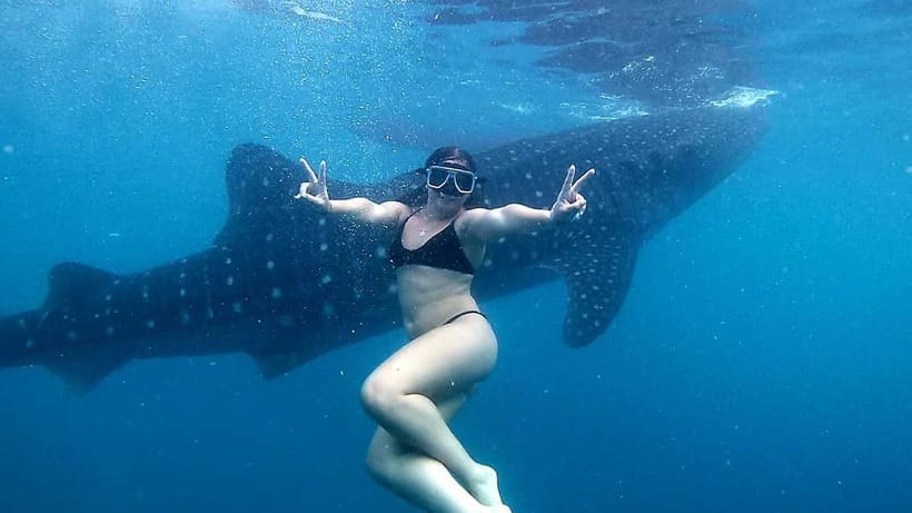 Oslob Whale Shark Swimming & Kawasan Falls Canyoneering - My practical checklist so you do not suffer for no reason