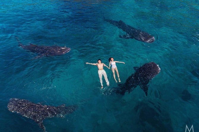 Oslob Whale Shark & Tumalog Waterfalls & Sumilon Sandbar - Sumilon Sandbar time: the clear-water payoff