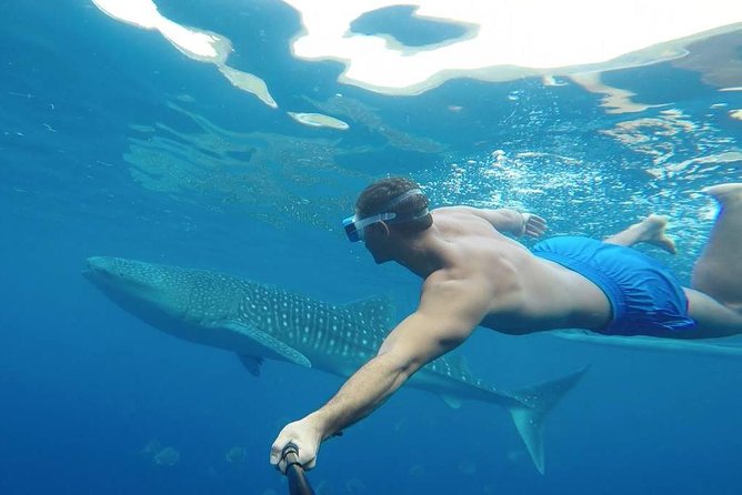Oslob Whale Shark Watching - Tumalog Falls: your second highlight stop after the sea day