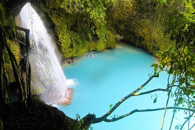 Oslob Whale Shark watching + Canyoneering Adventure Tour - The early 3:30 am start and private Cebu transfers