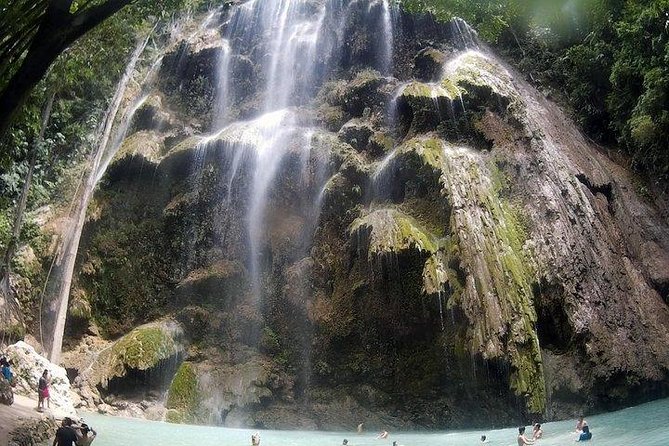 Oslob Whale Shark watching + Canyoneering Adventure Tour - Oslob whale shark watching and snorkeling with included gear