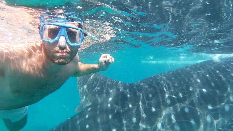 Oslob: Whale Sharks, Inambakan Falls & Moalboal Sardines - Inambakan Falls: Five Tiers, Cool Water, and Photo Break