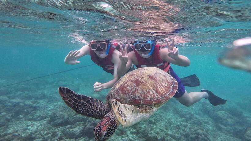 Oslob: Whale Sharks, Inambakan Falls & Moalboal Sardines - What’s Included, What’s Not, and How to Pack Smarter
