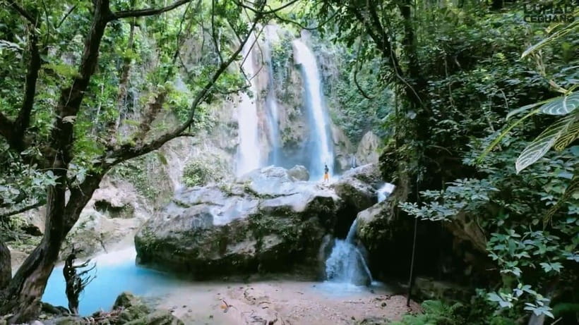 Oslob: Whale Sharks, Inambakan Falls & Moalboal Sardines - Is It Worth $132? Value, Comfort, and Who This Fits