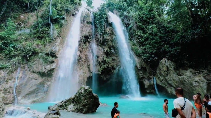Oslob: Whale Sharks, Inambakan Falls & Moalboal Sardines - Should You Book This Cebu Marine-Day Combo?