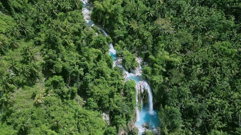 Oslob: Whale Sharks, Inambakan Falls & Moalboal Sardines - Whale Sharks in Oslob: Boat Time, Waiting Time, Swim vs. Watch