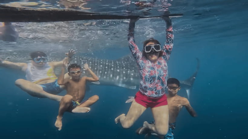Oslob: Whale Sharks, Tumalog Falls & Sumilon Trio Adventure - Key things to know before you go
