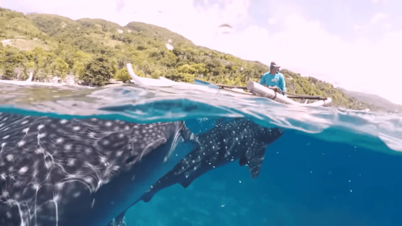 Oslob: Whale Sharks, Tumalog Falls & Sumilon Trio Adventure - The short break and breakfast, because you’ll earn it