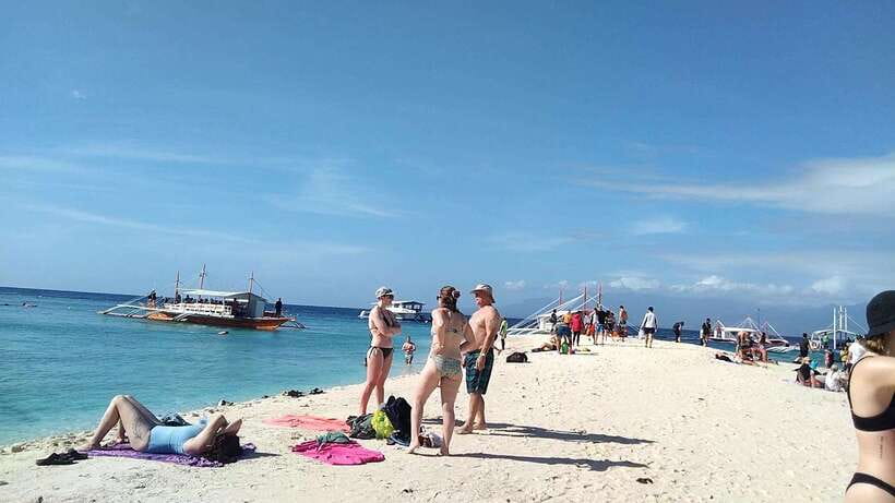 Oslob: Whaleshark Swimming, Tumalog Falls & Sumilon Island - Bring These Things and You’ll Enjoy the Day More