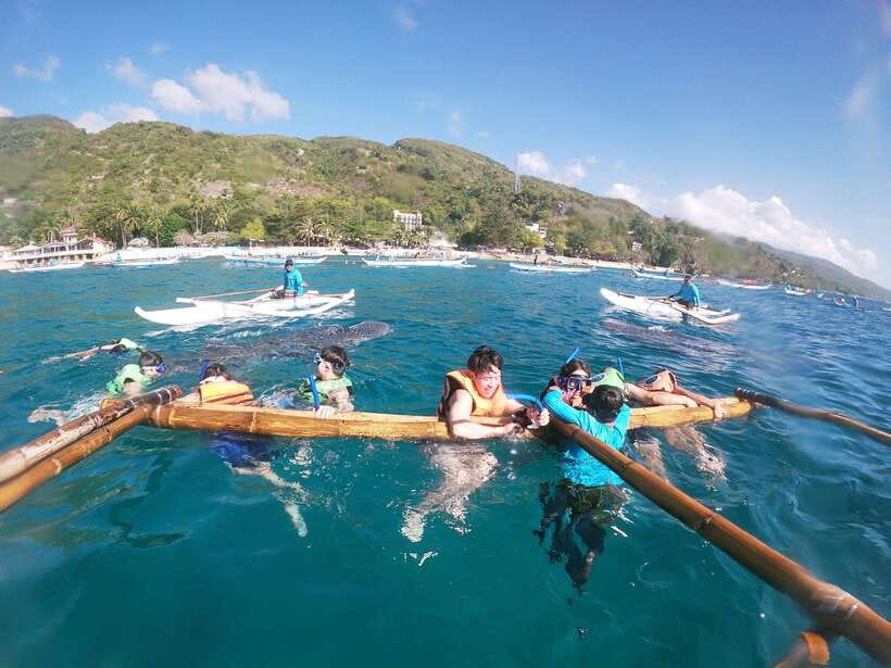 Oslob: Whaleshark Swimming, Tumalog Falls & Sumilon Island - Guide and Driver Quality: Rey, Organization, and What to Watch For