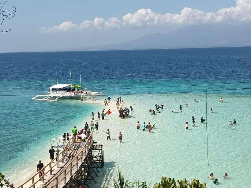 Oslob: Whaleshark Watching, Sumilon Island & Monkey Viewing - Why This Southern Cebu Day Trip Feels Like a Best-Of Mix