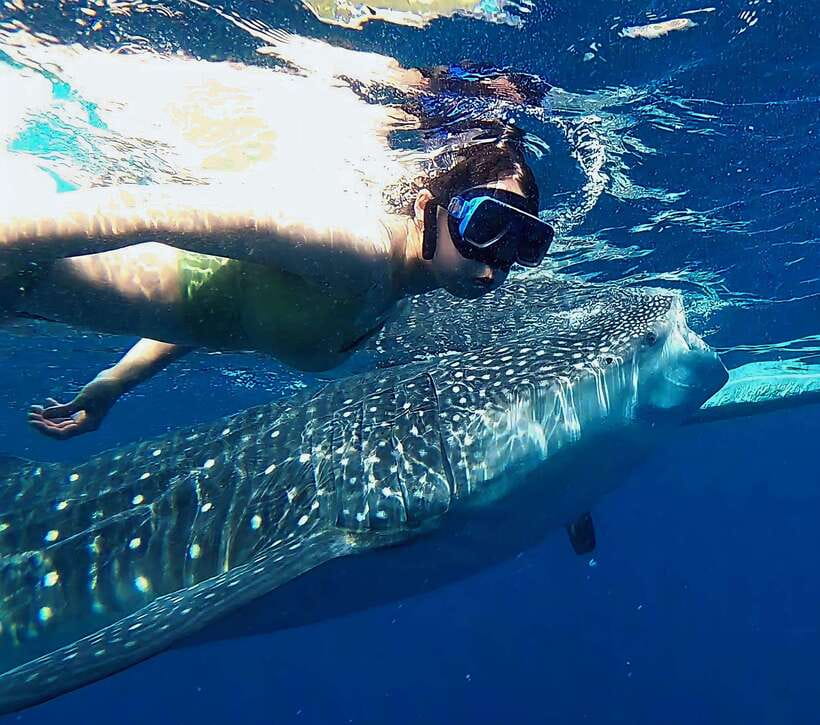 Oslob: Whaleshark Watching, Tumalog Falls & Sumilon Island - Key things to know before you go