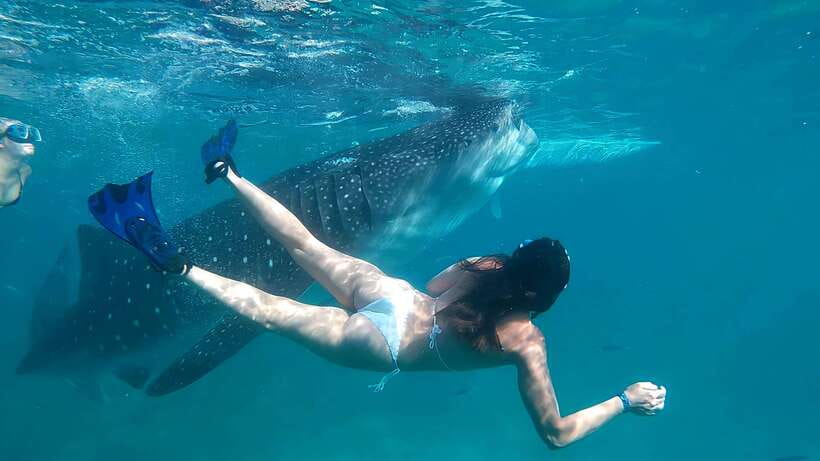 Oslob: Whaleshark Watching, Tumalog Falls & Sumilon Island - Sumilon Island sandbar time and tide checks you cannot skip