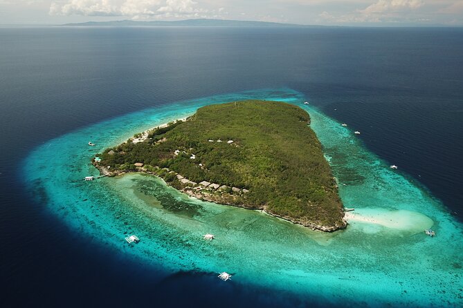 Oslob Whaleshark with Sumilon Island - Price and value: what your $120 covers, and what it means