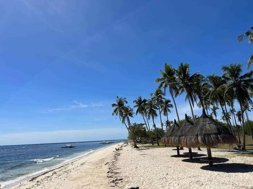 Pamilacan island: Dolphins, snorkel, lunch and walking tour - Key highlights worth planning for
