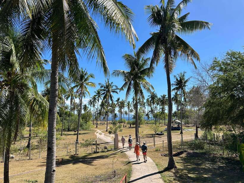 Pamilacan island: Dolphins, snorkel, lunch and walking tour - Walking tour: Spanish fort and sustainable island living