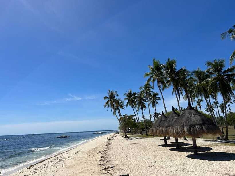 Pamilacan island: Dolphins, snorkel, lunch and walking tour - Who this private Pamilacan trip fits best
