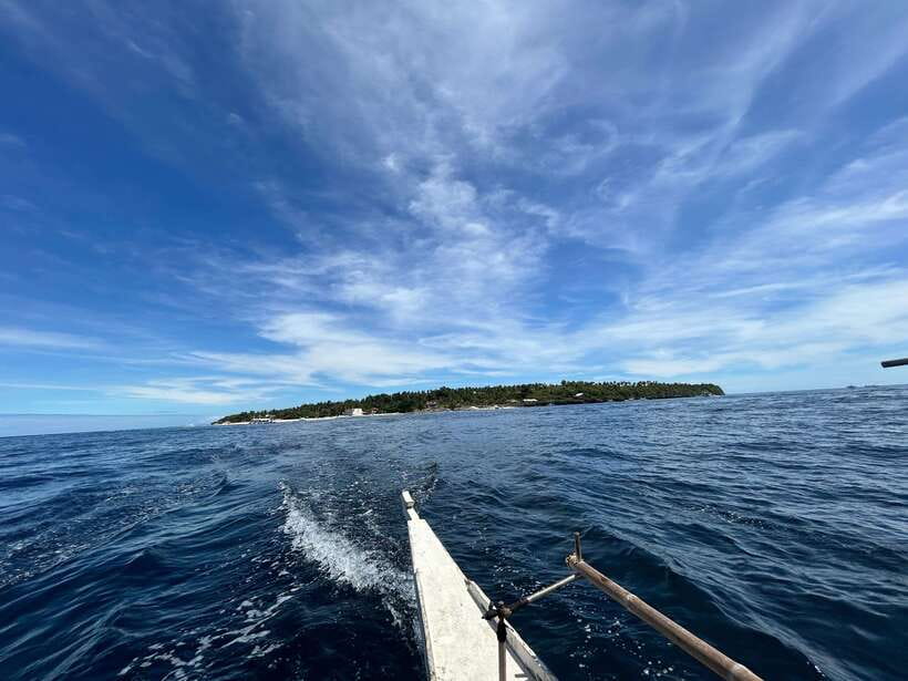 Pamilacan island: Dolphins, snorkel, lunch and walking tour - Morning transfer, speedboat timing, and dolphin odds