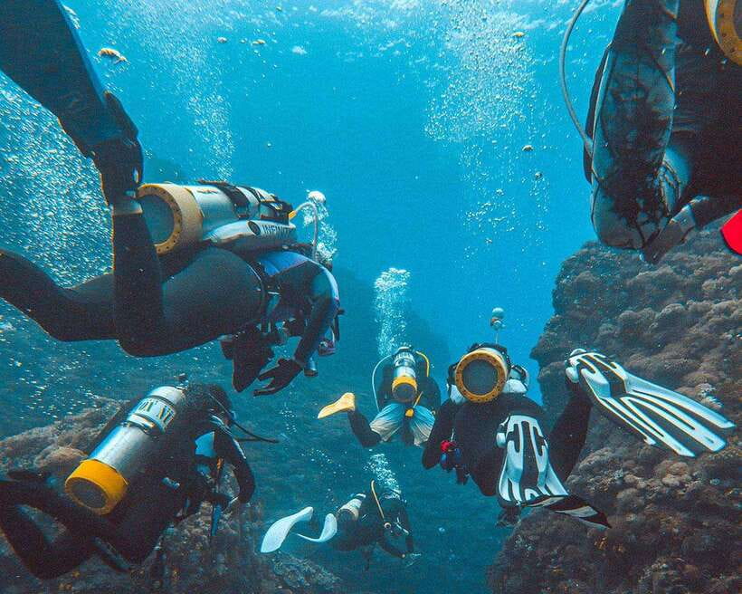Panglao Bohol: Try Scuba Diving at Napaling and Sardines - Napaling Reef and Sardines: The Big Underwater Reason to Go