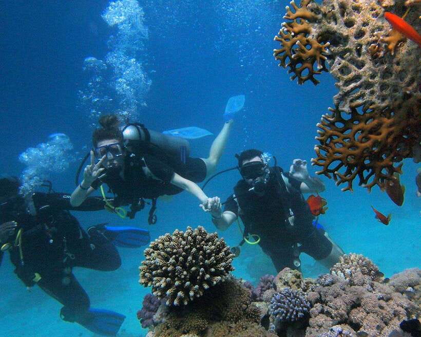 Panglao Bohol: Try Scuba Diving at Napaling and Sardines - Meeting at Napaling Adventure Center and Getting Ready