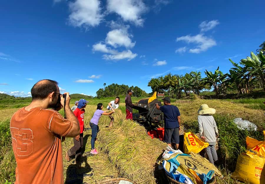 Panglao: Dao, Forests, and Tarsier Sanctuary Tour with Lunch - Private pickup from Panglao or Tagbilaran, and why it matters