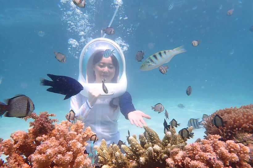 Panglao: Helmet Diving Experience with Photos and Videos - Air-Helmet Reef Walking: What You Are Really Doing Underwater