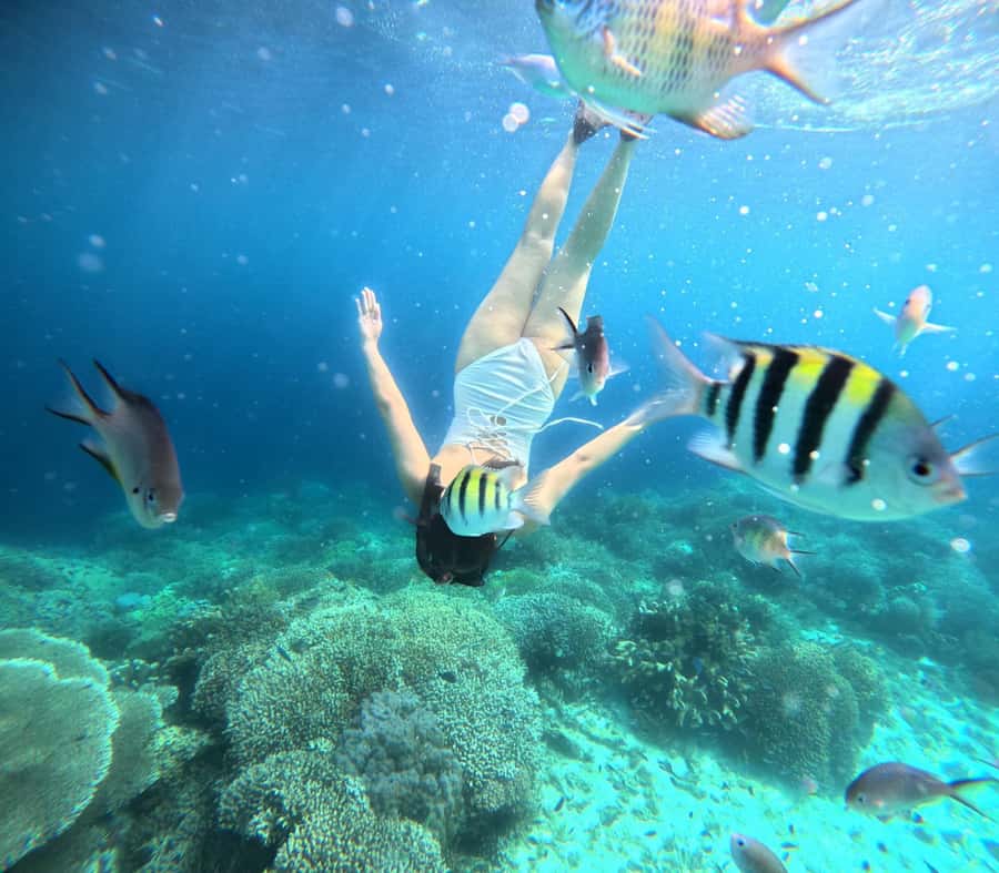 Panglao: Island Hopping w/Balicasag (Shared) - Key points before you go