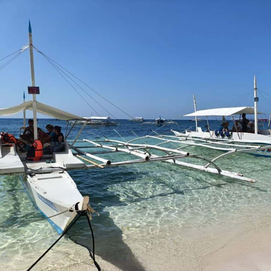 Panglao: Island Hopping w/Balicasag (Shared) - Balicasag Island: Snorkeling, Marine Life Viewing, and Fish Feeding