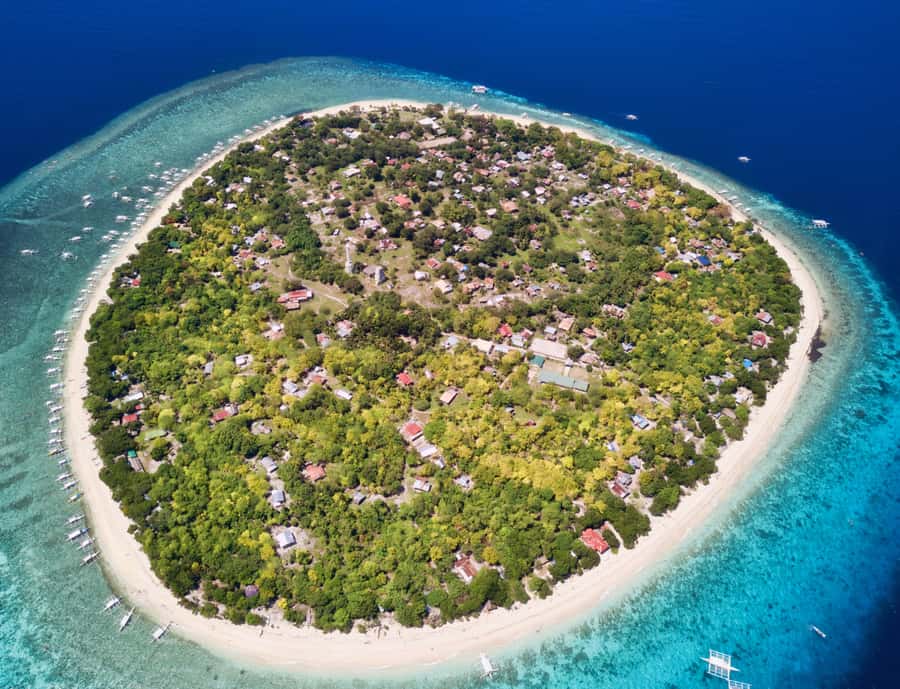 Panglao: Island Hopping w/Balicasag (Shared) - What the Tour Gives You Underwater (and What You Supply)