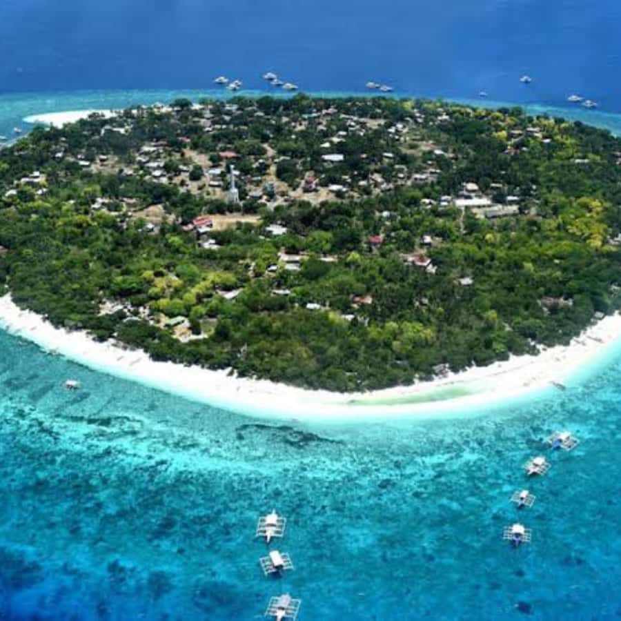 Panglao: Island Hopping w/Balicasag (Shared) - Timing, Pacing, and Why the Five-Hour Shape Works