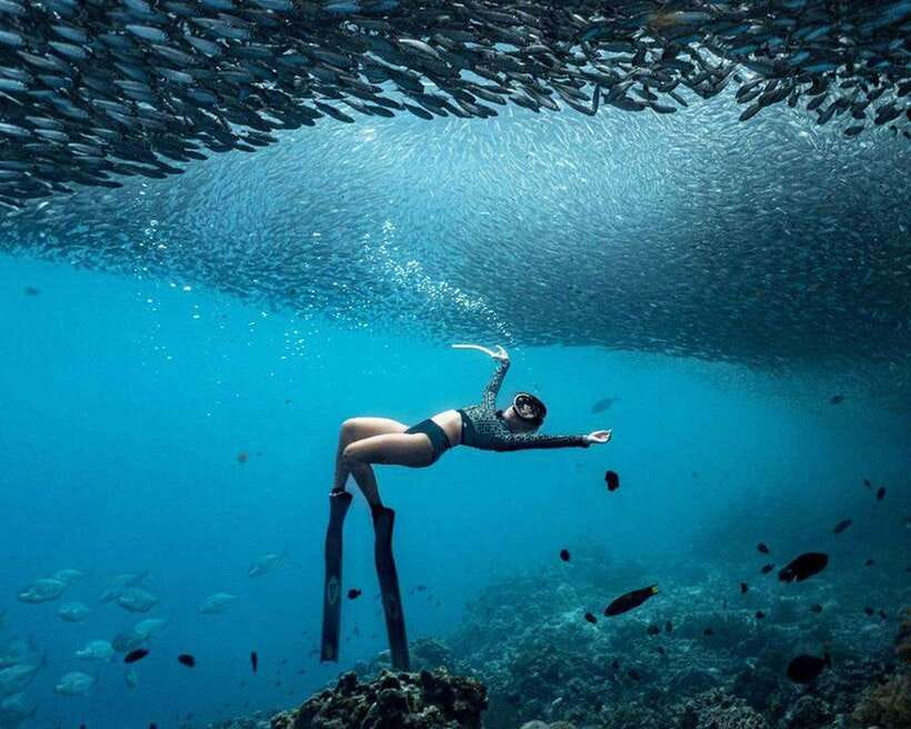 Panglao: Napaling Reef and Sardines Freediving Experience - Your 1-hour breath-hold session: what happens in the water