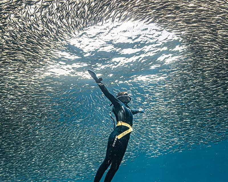 Panglao: Napaling Reef and Sardines Freediving Experience - The guide and the GoPro: why the photos are a big deal here