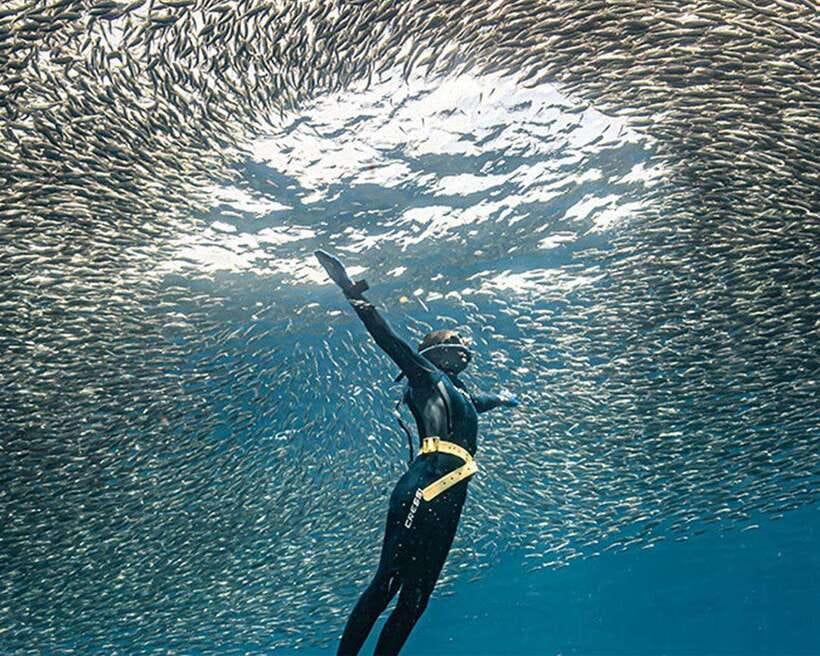 Panglao: Napaling Reef and Sardines Freediving Experience - Starting at Freedive Academy Panglao and getting to the reef