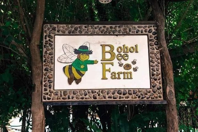Panglao's Best Hinagdanan Cave, Bee Farm, Mirror of the World - The drive-and-stop rhythm (8:00am start, about 7 hours)