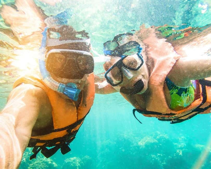 Panglao: Snorkeling at NapalingReef with Sardines Experience - Non-swimmer-friendly gear: life jacket support and what it changes