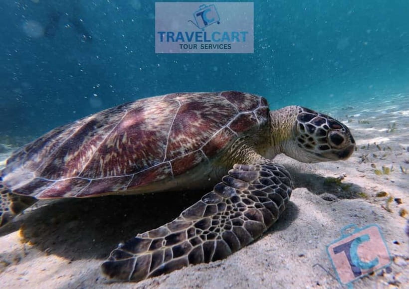 PORT BARTON: Full-day Shared Island Hopping Tour A - Quick take: why this Port Barton tour can be a great day